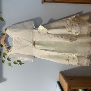 Disney Deluxe Costume